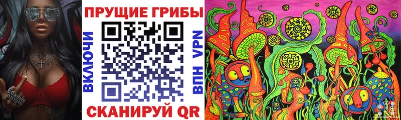 где можно купить наркотик  Жуковский  Галлюциногенные грибы Cubensis 